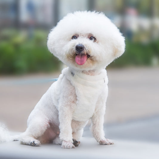 Winter Warm Fur Dog Harness