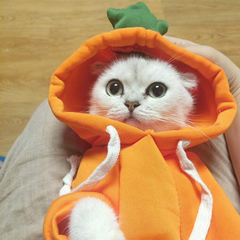 Cosplay Winter Warm Hoodies For Cats