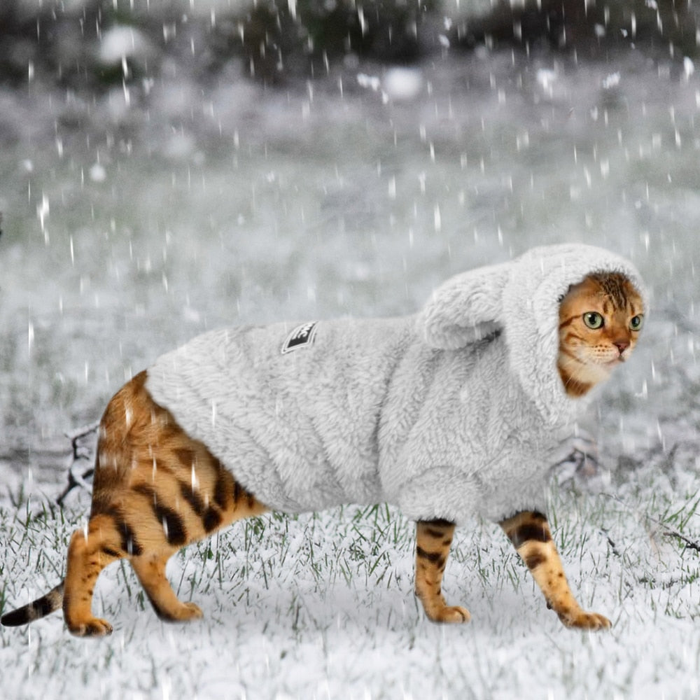 Warm Cat Winter Outfit