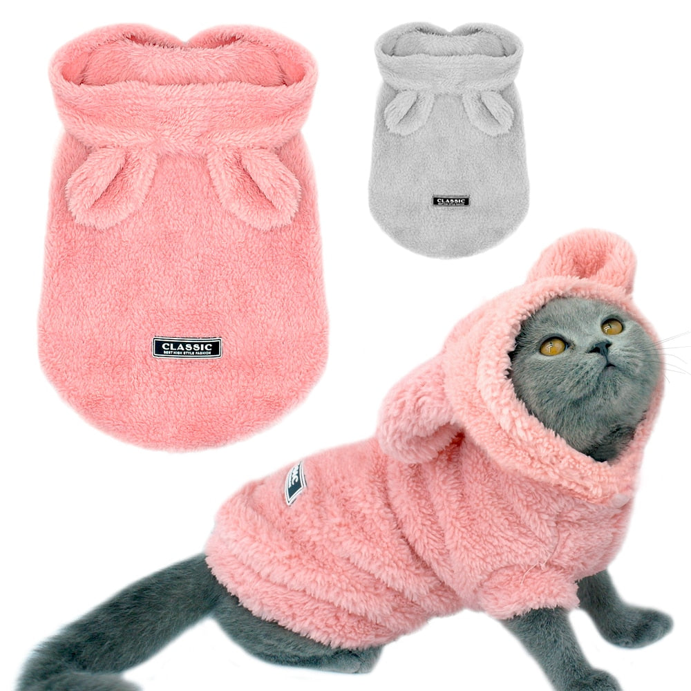 Warm Cat Winter Outfit