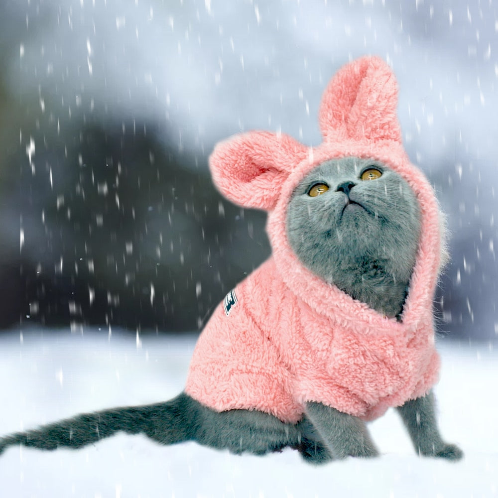 Warm Cat Winter Outfit