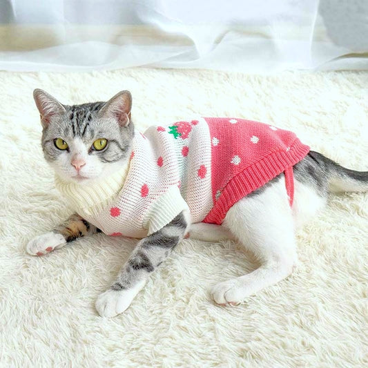 Cat Winter Sweater