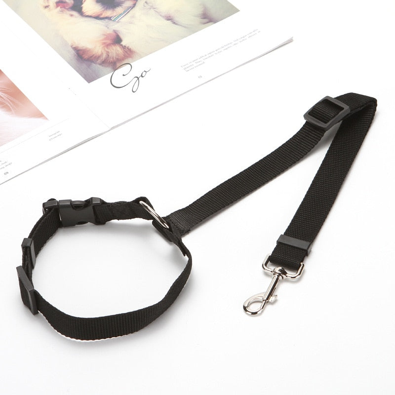 Nylon Leash Backseat Safety Belt