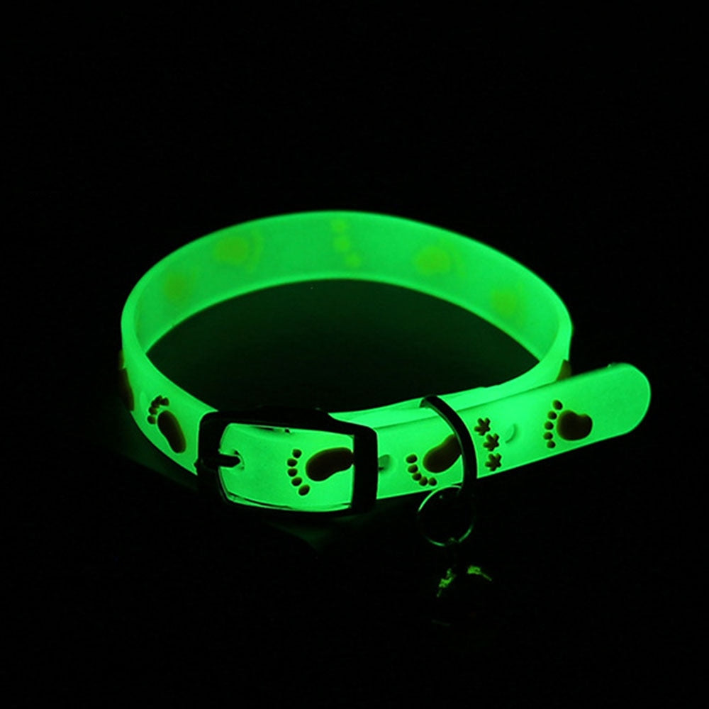 Glowing Luminous Cat Collar