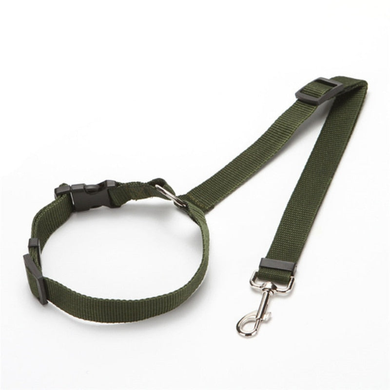 Nylon Leash Backseat Safety Belt