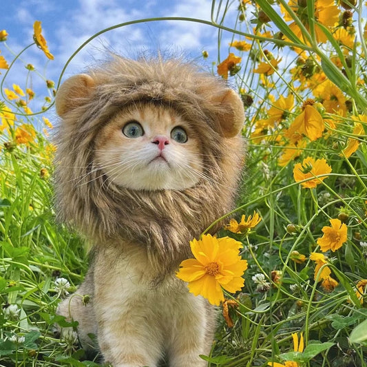 Cat Wig Lion Mane Costume