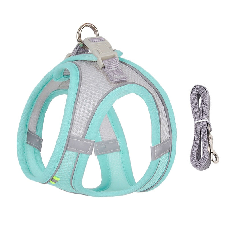 Dog Harness Leash Set