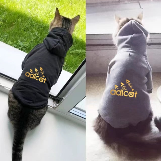 Cat golden letter printed  hoodies