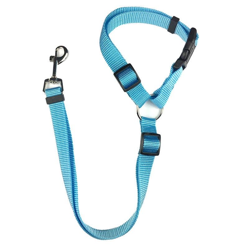 Nylon Leash Backseat Safety Belt