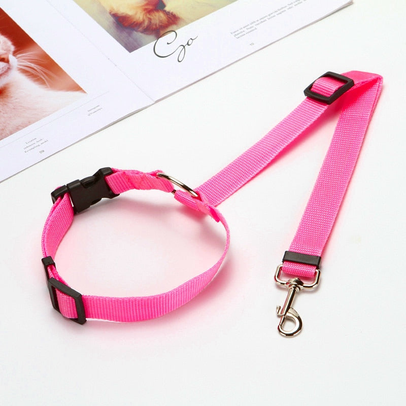 Nylon Leash Backseat Safety Belt