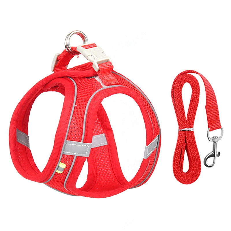 Dog Harness Leash Set