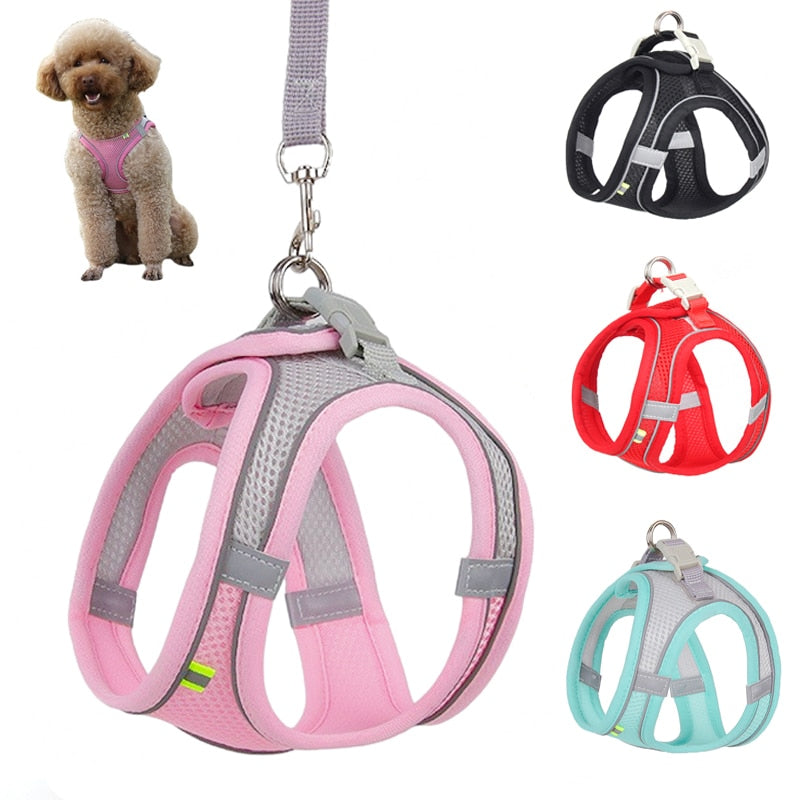 Dog Harness Leash Set