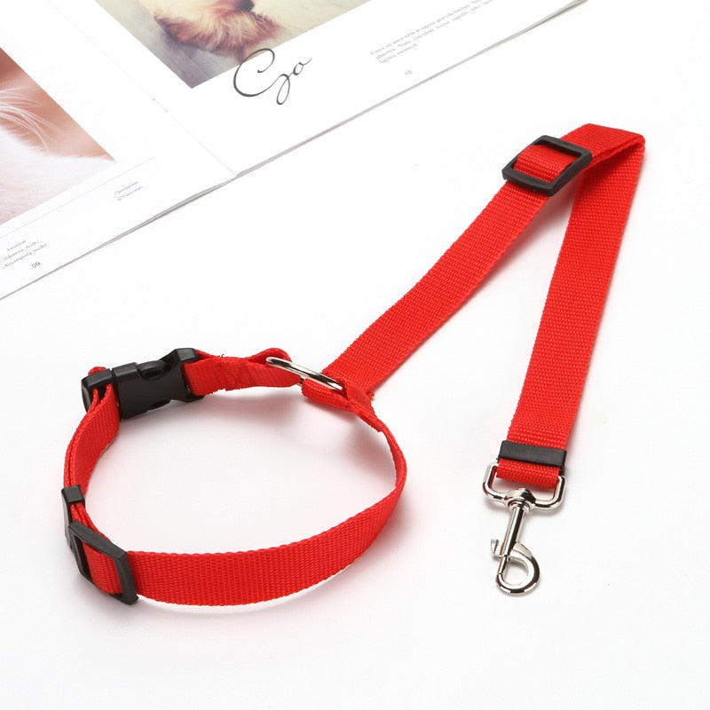 Nylon Leash Backseat Safety Belt