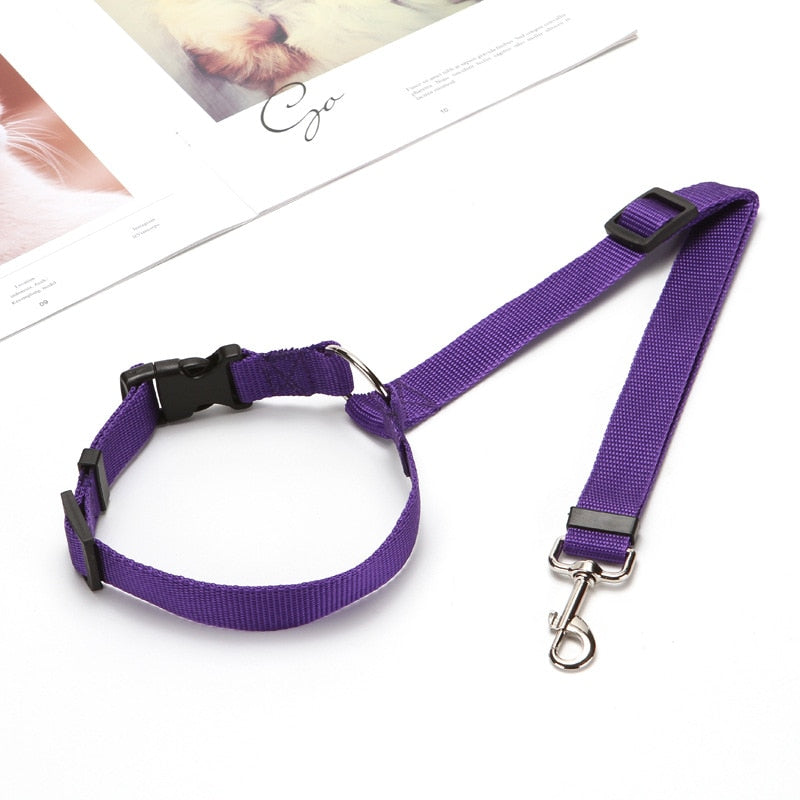 Nylon Leash Backseat Safety Belt