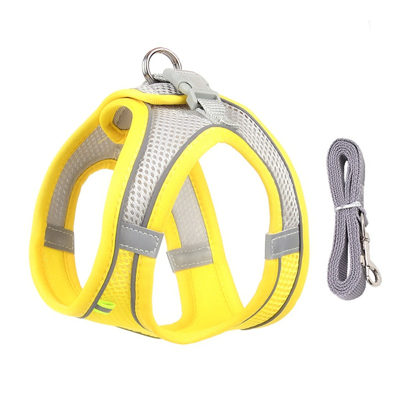 Dog Harness Leash Set