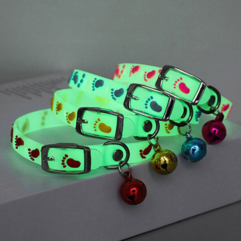 Glowing Luminous Cat Collar