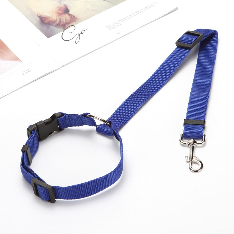 Nylon Leash Backseat Safety Belt