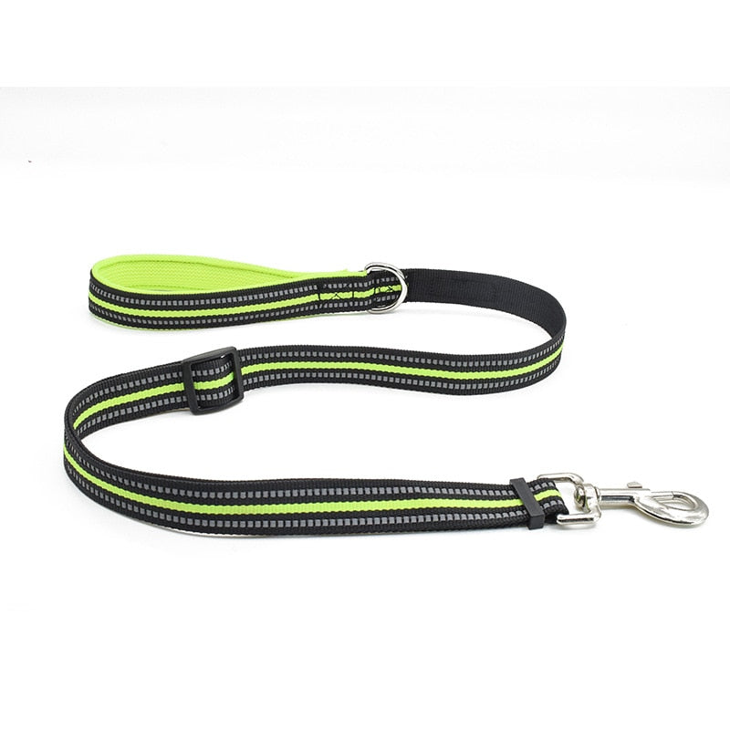 Nylon Harness & Leash