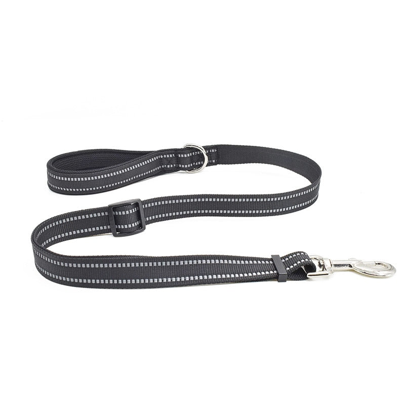 Nylon Harness & Leash