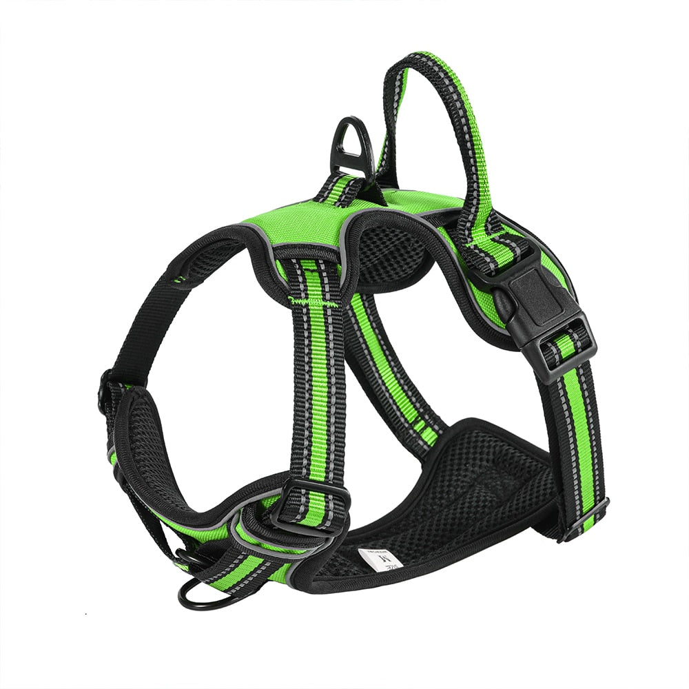 Nylon Harness & Leash