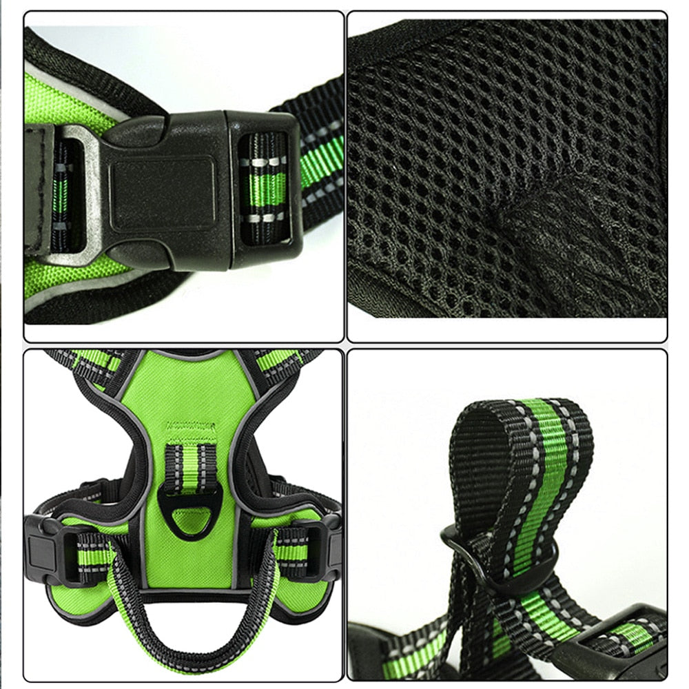 Nylon Harness & Leash