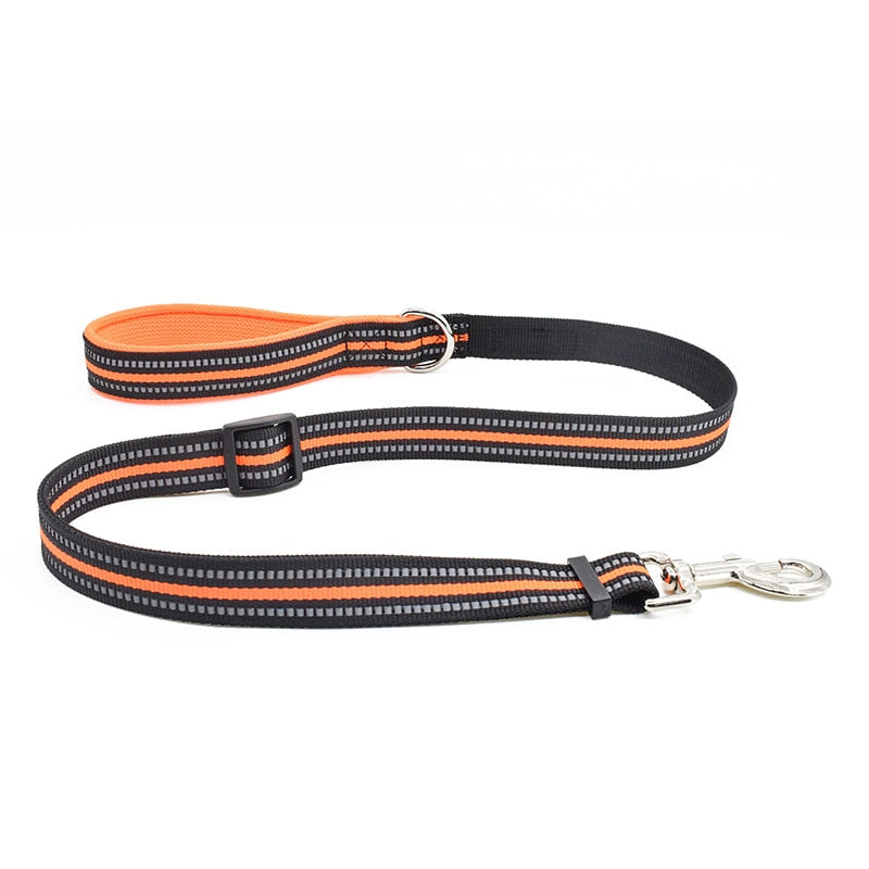 Nylon Harness & Leash