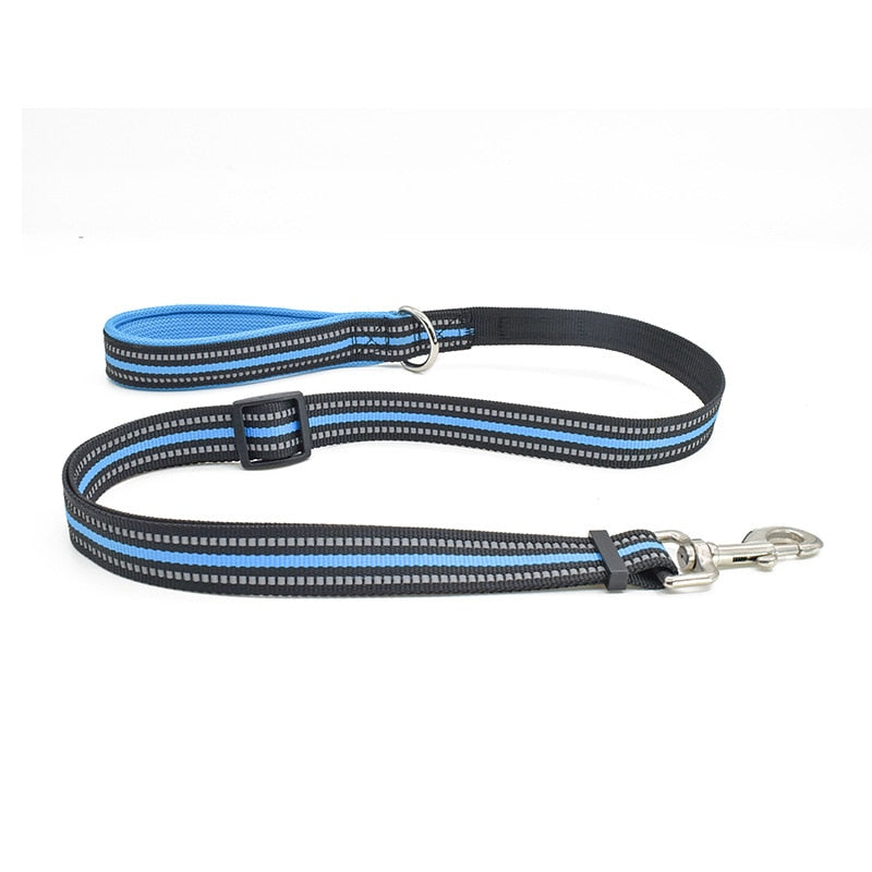 Nylon Harness & Leash